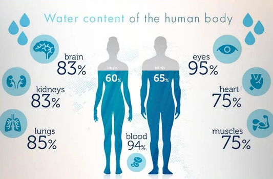 How Rising Cortisol Levels Lead to Excess Fluid Retention